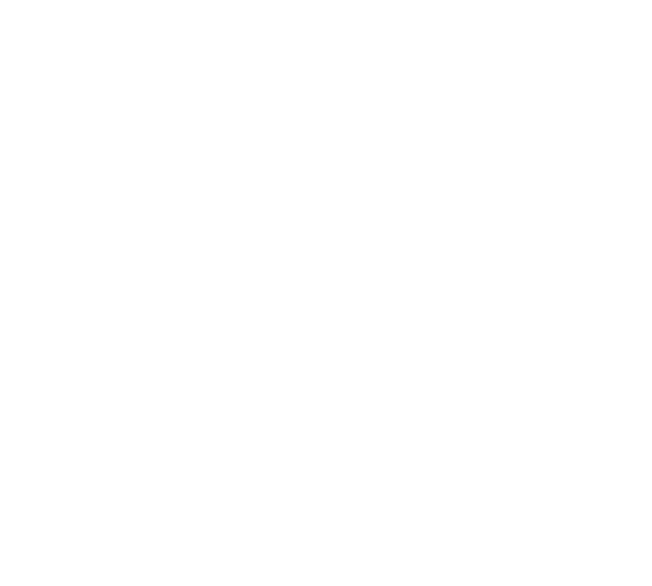 Décoration Logo Althea
